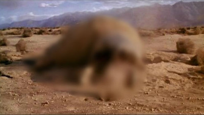 好萊塢科幻片5大老哏情節　看見沙漠你一定會想到甚麼？