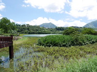 別只知道日月潭！鹿谷湖岸秘境「麒麟潭」走入詩畫山水