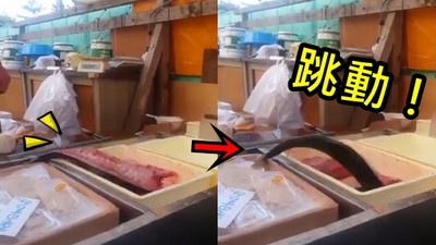 還在動！魚肉「斷頭剖半」盤上仍活跳跳　網悲嘆：看了好難過