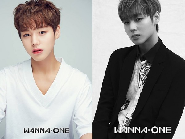 ▲男團Wanna One公開兩組宣傳照，正舉辦配對票選。
