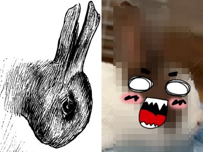 兔頭上真的有張鴨臉！知名測驗「鴨兔錯視圖」本尊曝光