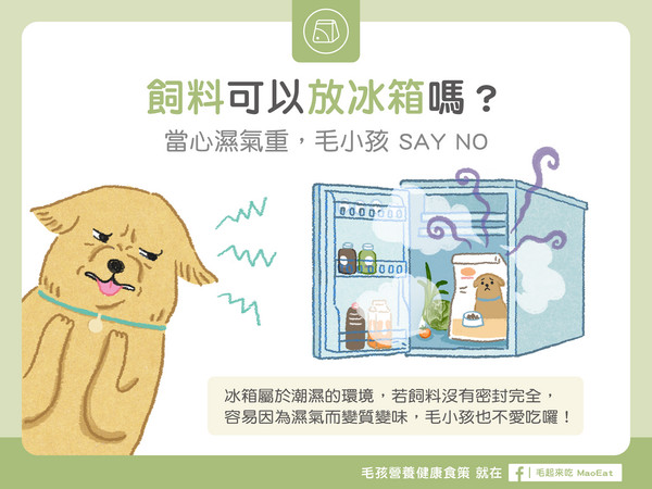 飼料可以放冰箱嗎？ 當心濕氣重，毛小孩SAY NO！（圖／毛起來 MaoUp）