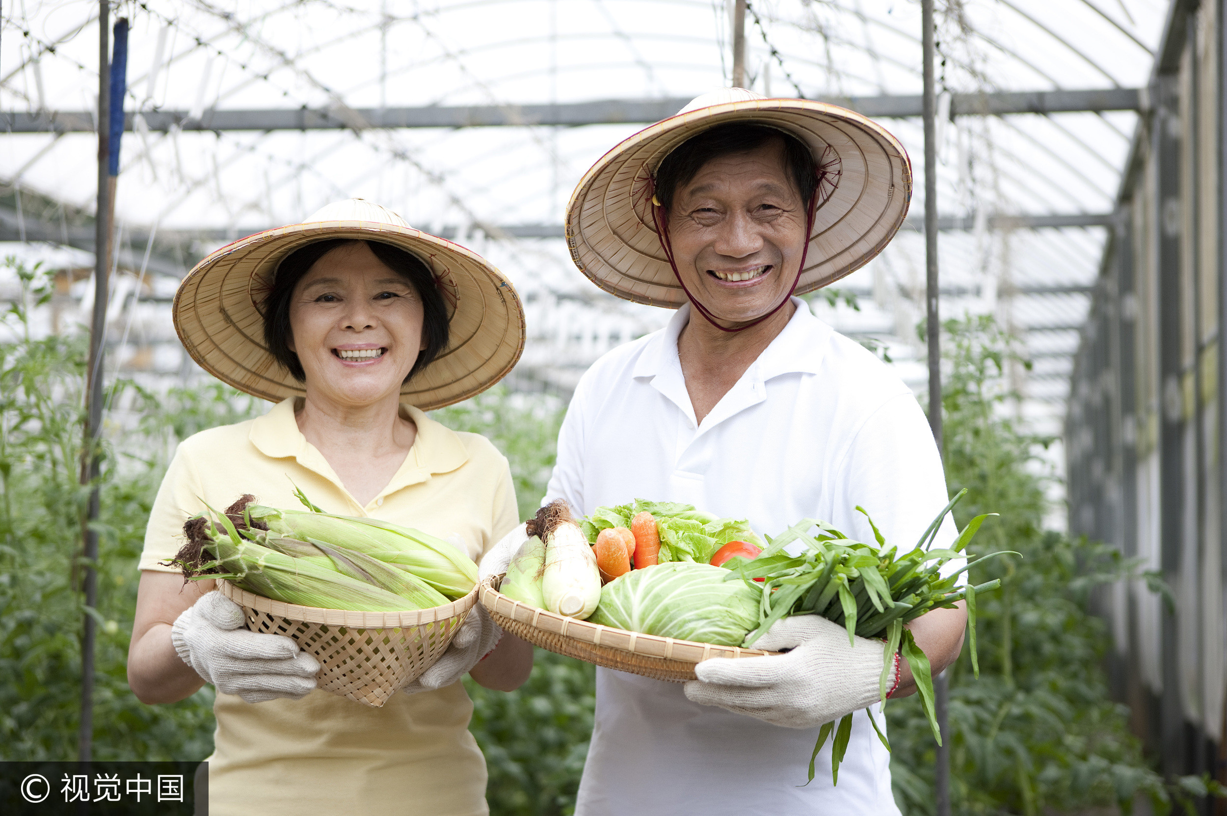 ▲農業,台灣農業,有機農業,種田,農夫,農村。(圖/視覺中國CFP)