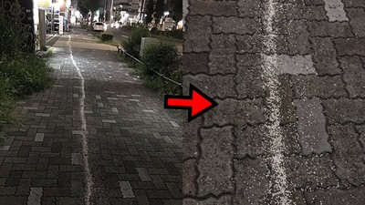 街上發現一整條「白米路」　日鄉民笑傻：快跟著去她家