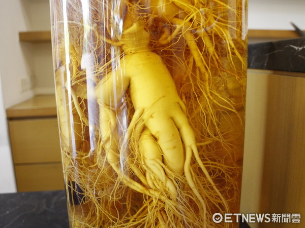 ▲人蔘。(圖/記者曹悅華攝)