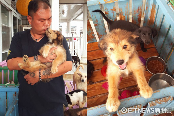 ▲幼犬遭棄水溝狂哭　他甜哄「哎拉芙U」...小黑秒安靜給抱。（圖／徐文良（徐園長護生園）授權提供）