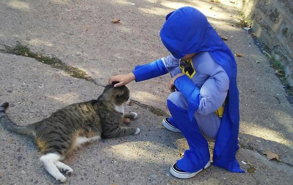 ▲我要當牠們的英雄！5歲男童守護浪貓　扮超人系列幫餵食。（圖／翻攝自Love Meow）