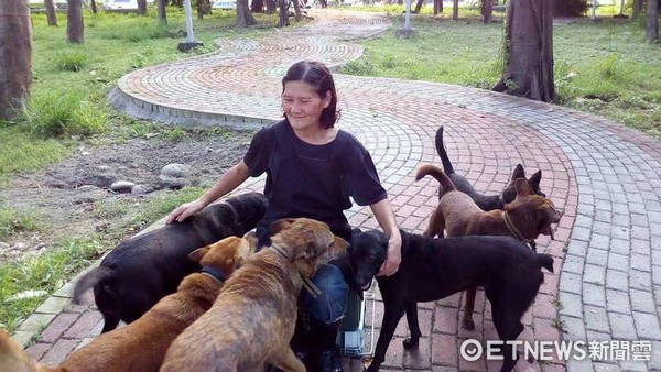 ▲秀鳳婆婆「撿回收」養20狗30貓　鄰居嫌臭吵…檢舉抓8隻。（圖／網友Sara Liu提供）