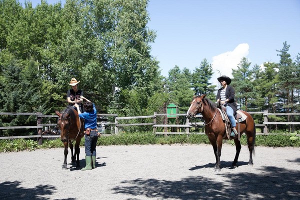 練習場中，得先練習如何控制馬匹。
