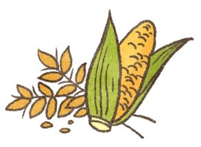 你家的毛孩總是這裡抓抓、那裡癢癢?(圖/毛起來 MaoUp)