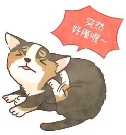 你家的毛孩總是這裡抓抓、那裡癢癢?(圖/毛起來 MaoUp)