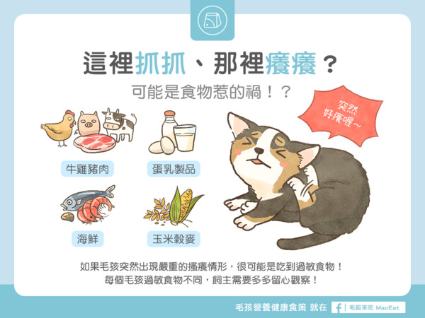 你家的毛孩總是這裡抓抓、那裡癢癢?(圖/毛起來 MaoUp)