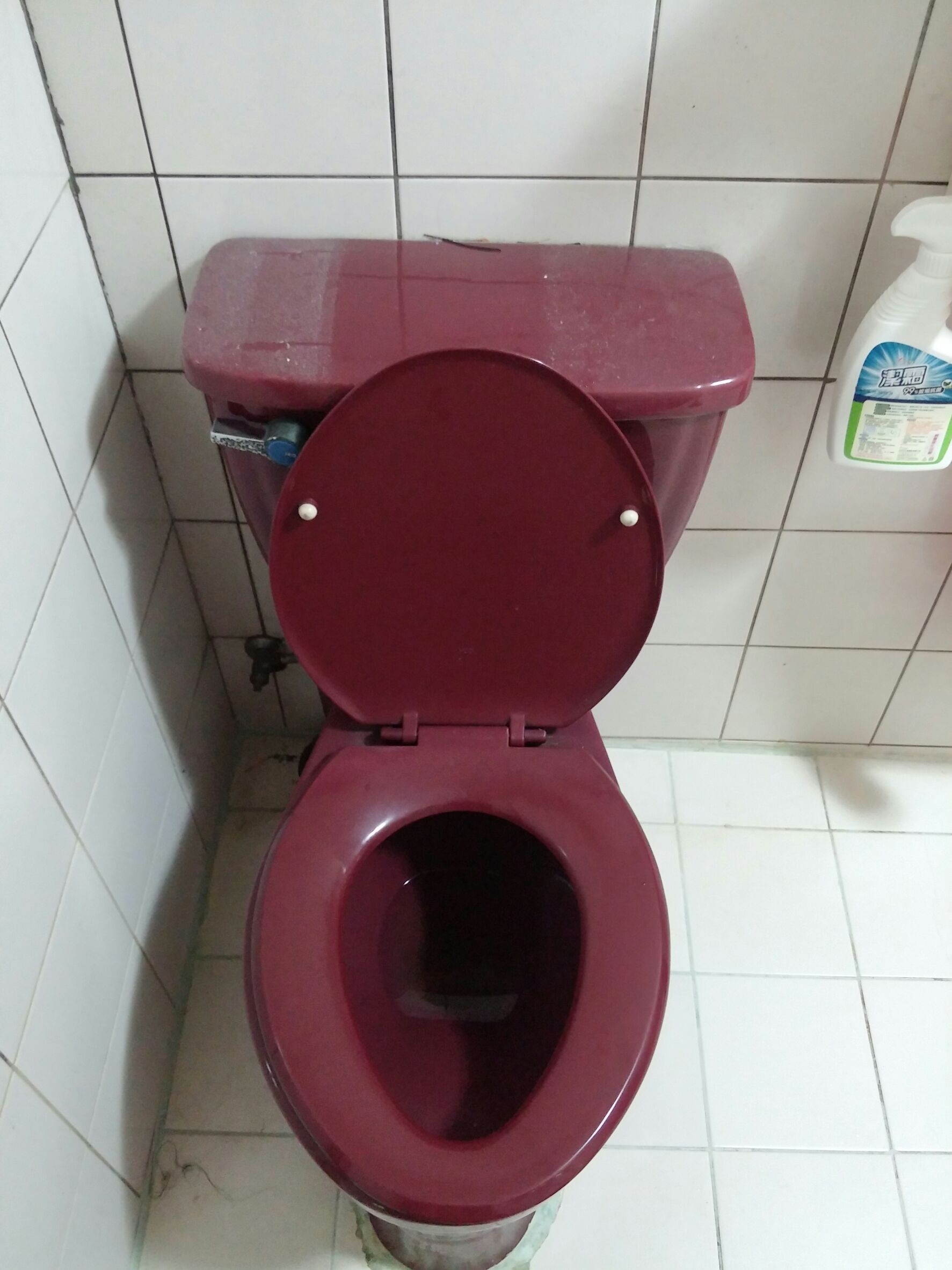 ▲豬肝色馬桶。(圖/網友授權提供)