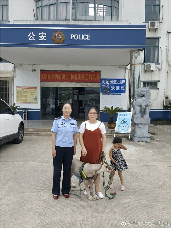 警察訓練浪浪成警犬，無奈天資不足降為看門狗，網：阿拉斯加雪橇犬不意外（圖／翻拍微博@蕪湖火龍崗派出所）