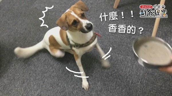 調理機快速料理~白藍地活力UP↑冰沙(圖/毛起來 MaoUp)