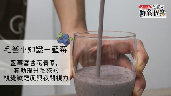 調理機快速料理~白藍地活力UP↑冰沙(圖/毛起來 MaoUp)