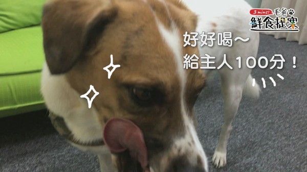 調理機快速料理~白藍地活力UP↑冰沙(圖/毛起來 MaoUp)