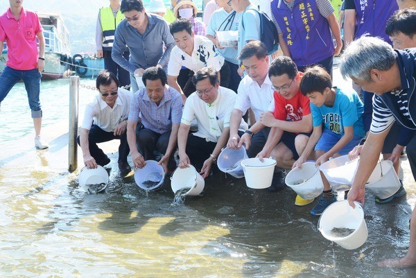 ▲石門水庫魚苗放流活動，推廣保育觀念提升漁民收益。（圖／桃園市政府提供）