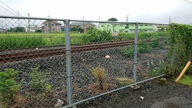 ▲▼日本網友在鐵軌旁發現怪異膚色團塊。（圖／翻攝自外網，2ch）