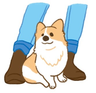 狗狗愛你的5種表現!快來看看狗狗多愛你!(圖/毛起來 MaoUp)