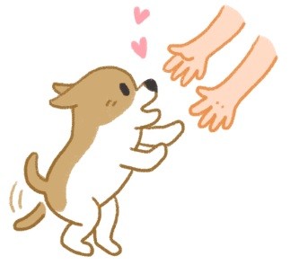 狗狗愛你的5種表現!快來看看狗狗多愛你!(圖/毛起來 MaoUp)