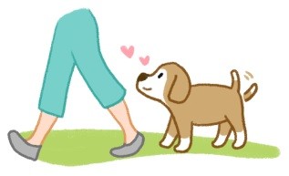 狗狗愛你的5種表現!快來看看狗狗多愛你!(圖/毛起來 MaoUp)