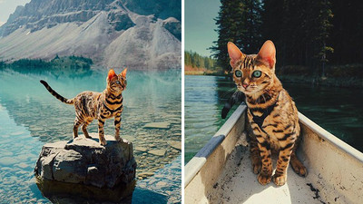 孟加拉豹貓搭獨木舟溜搭　用致命美眼探索世界ΦωΦ