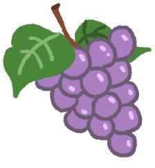 貓奴不可不知-貓咪的禁果千萬別碰!(圖/毛起來 MaoUp)