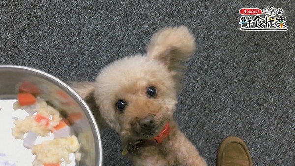 【毛爸鮮食提案】一起戰勝體脂肪~輕盈蒟蒻粥(圖/毛起來 MaoUp)