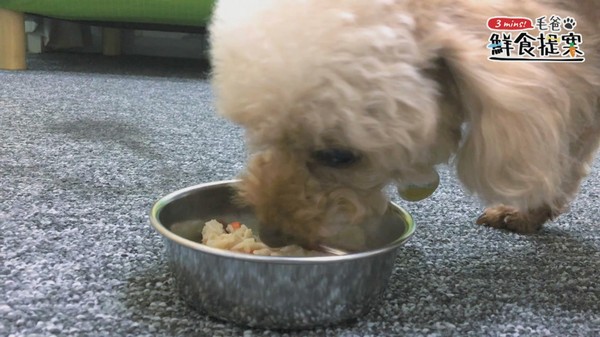 【毛爸鮮食提案】一起戰勝體脂肪~輕盈蒟蒻粥(圖/毛起來 MaoUp)