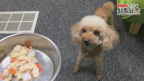 【毛爸鮮食提案】一起戰勝體脂肪~輕盈蒟蒻粥(圖/毛起來 MaoUp)