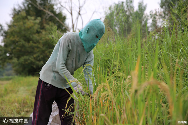 ▲▼湖北省黃岡市有一名因頭暈不能吹風而戴「面具」十年未摘的女子。（圖／CFP）