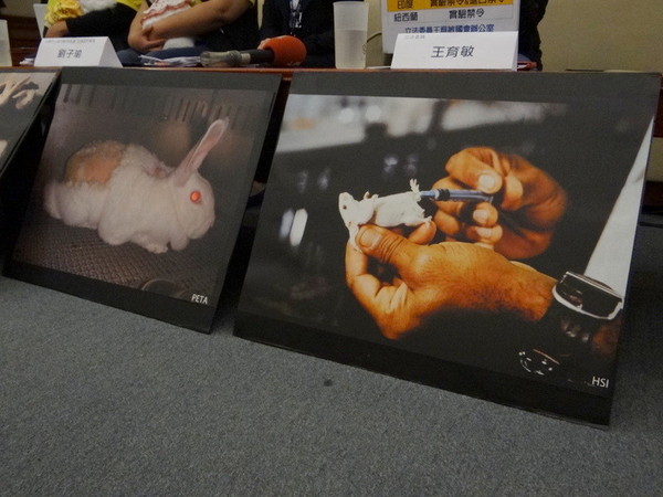 動保組織盼修法禁止化妝品動物實驗(圖/ETNEWS資料照)