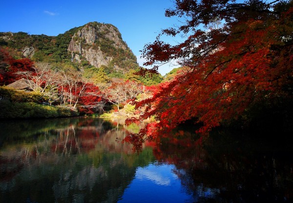 ▲東北亞賞楓。（圖／五福旅行社提供）