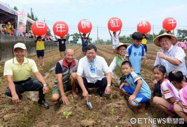 ▲市議員莊玉輝替鄭文燦「開支票」，三個月後芥菜收成，舉辦千人踩客家酸菜活動時，參加者每人送衣服一件、一公斤酸菜，台下民眾報以熱絡掌聲回應。（圖／記者楊淑媛攝）