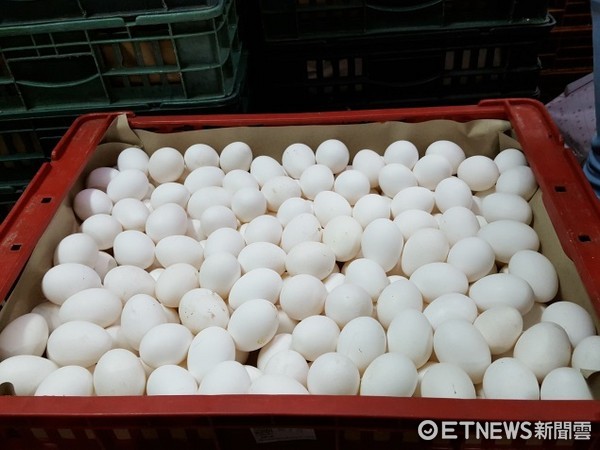 防堵破功！台南芬普尼毒蛋流北市蛋行　下架逾3萬顆。（圖台北市衛生局提供）
