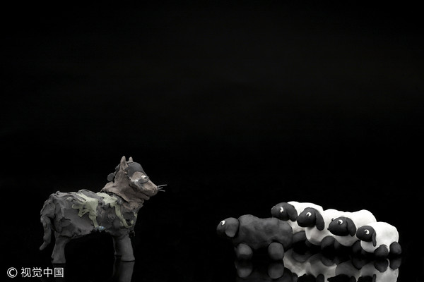 ▲狼,羊,綿羊,野狼。(圖/視覺中國)