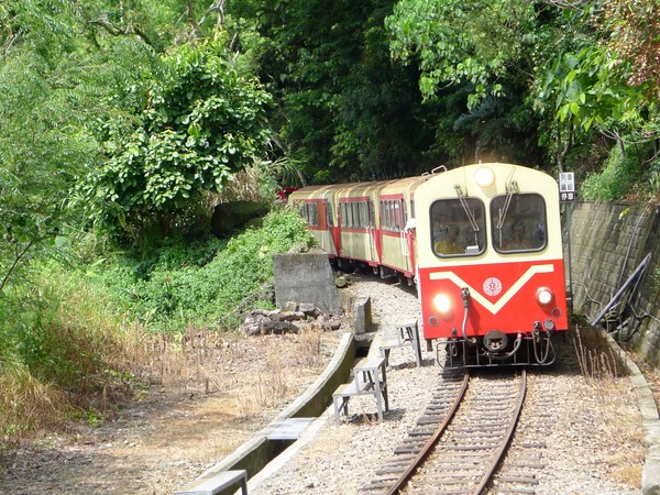 ▲阿里山森林鐵路,阿里山森鐵,阿里山小火車。（圖／台鐵提供）