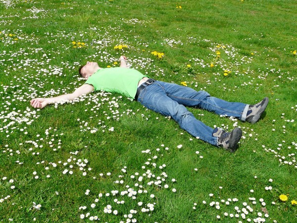 ▲▼躺、睡覺、睡眠、草地             。（圖／翻攝自pixabay）