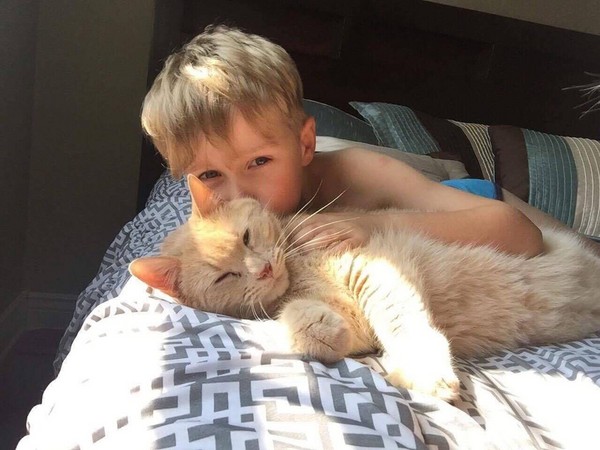 媽說可以領養任何寵物！弟弟選了高齡橘貓　「想給牠一個家」（圖／翻攝自Supplied by Exploits Valley SPCA）