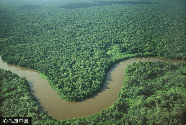▲亞馬遜雨林。（圖／CFP）