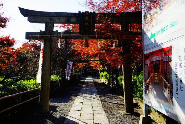 ▲日本長岡天滿宮賞楓。（圖／卡瓦納提供）