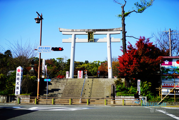 ▲日本長岡天滿宮賞楓。（圖／卡瓦納提供）