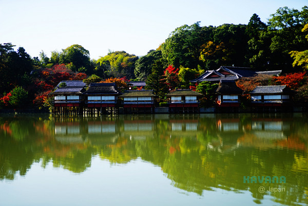 ▲日本長岡天滿宮賞楓。（圖／卡瓦納提供）