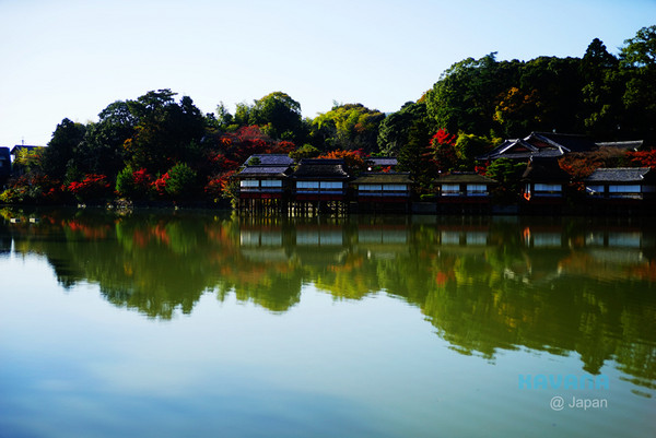 ▲日本長岡天滿宮賞楓。（圖／卡瓦納提供）