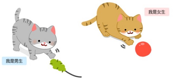 蝦密?!貓貓也有分「男左女右」?!(圖/毛起來 MaoUp)