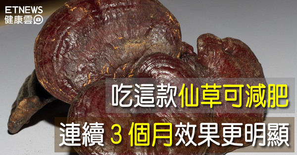 ▲直覺式顯圖:吃靈芝可減肥。(圖/翻攝自Pixabay)