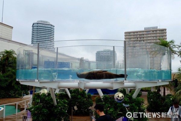 ▲池袋陽光水族館。（圖／記者于佳云攝）