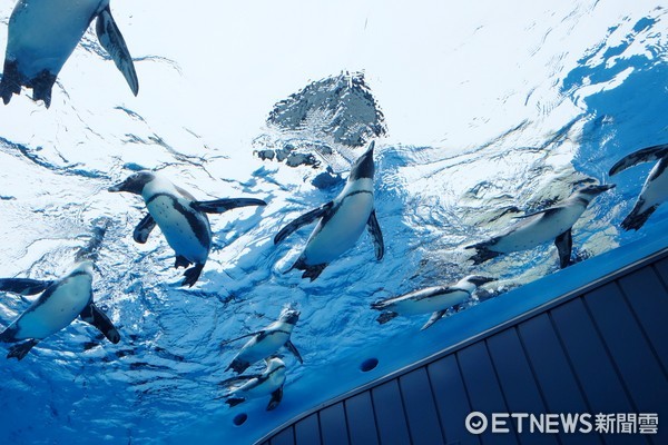 ▲池袋陽光水族館。（圖／記者于佳云攝）