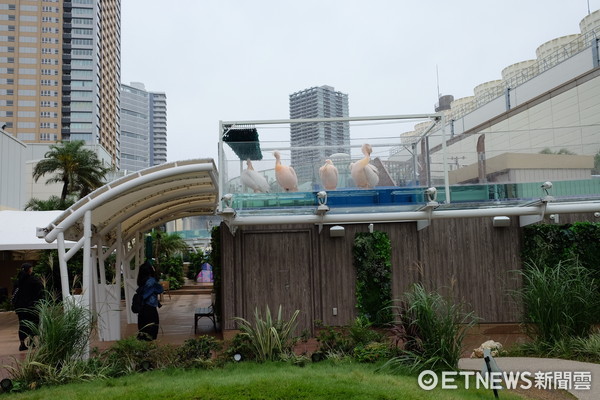 ▲池袋陽光水族館。（圖／記者于佳云攝）